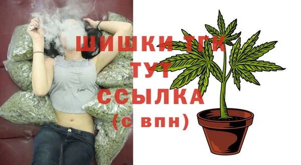 спиды Белокуриха