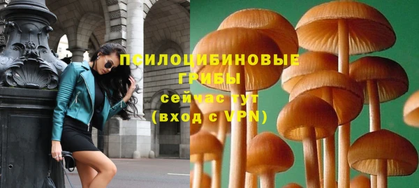 спиды Белокуриха