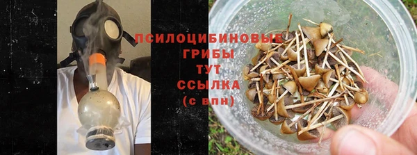 спиды Белокуриха