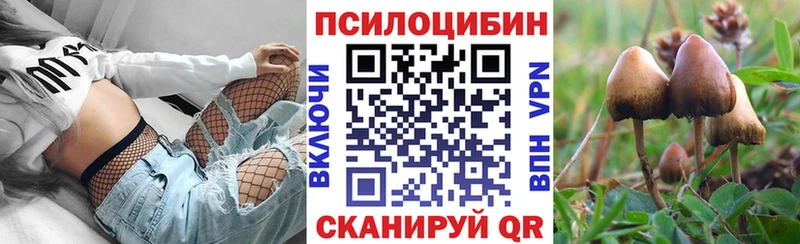 Псилоцибиновые грибы Psilocybe  магазин    Кудрово 